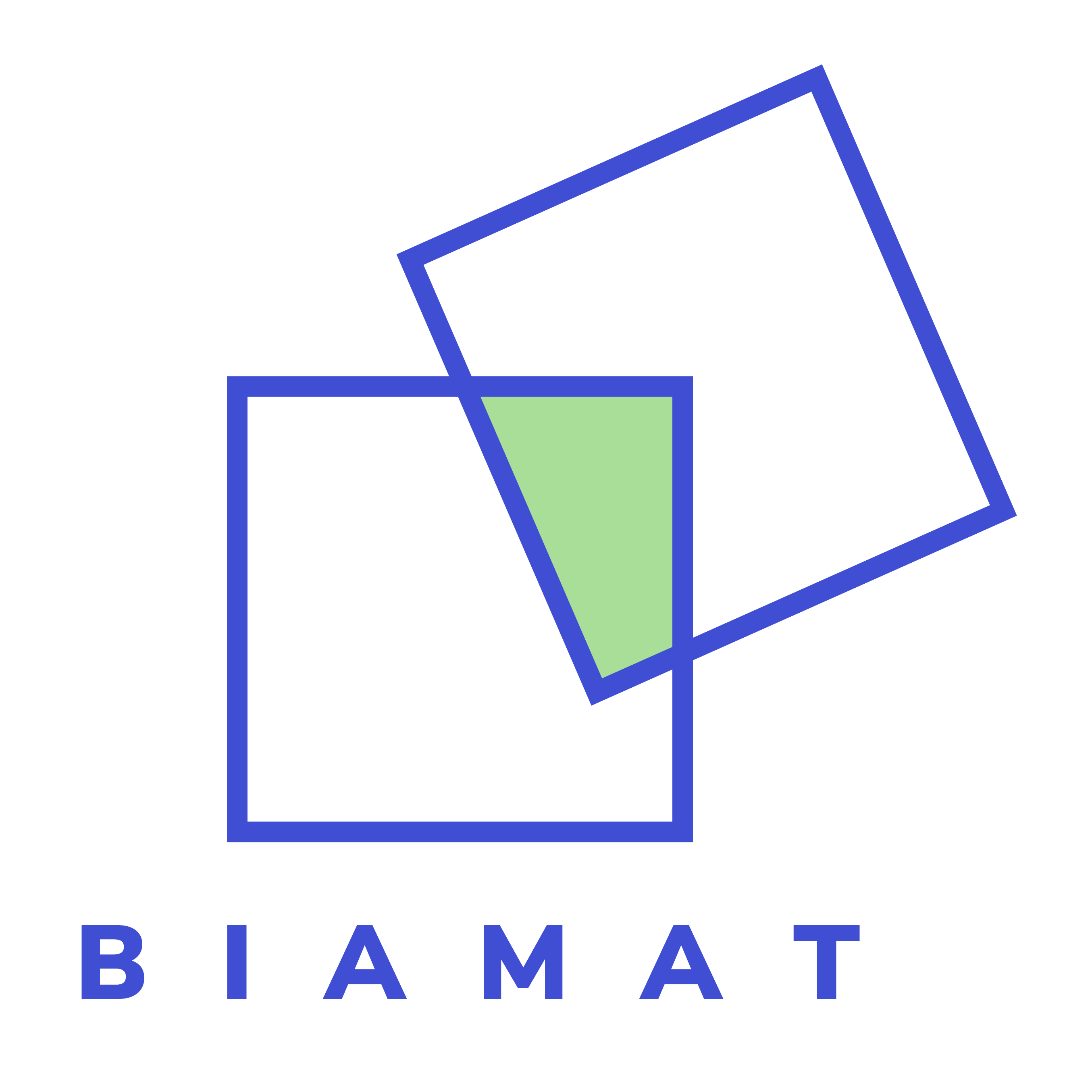BiaMat logo